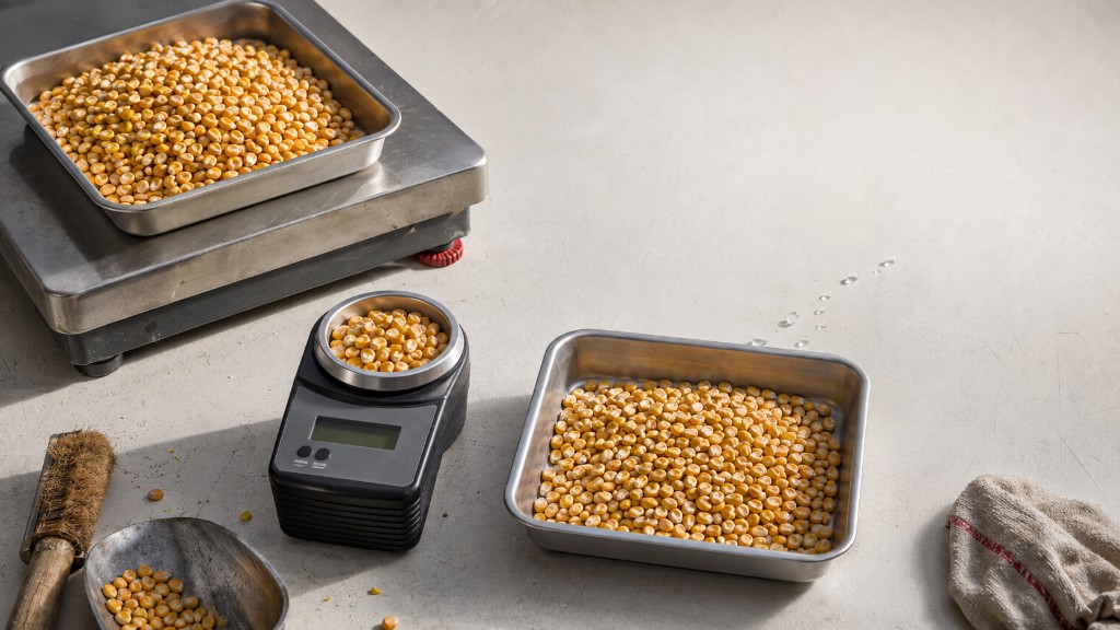 Corn samples, a grain moisture meter and weighing equipment arranged on a feed-mill quality-control bench.