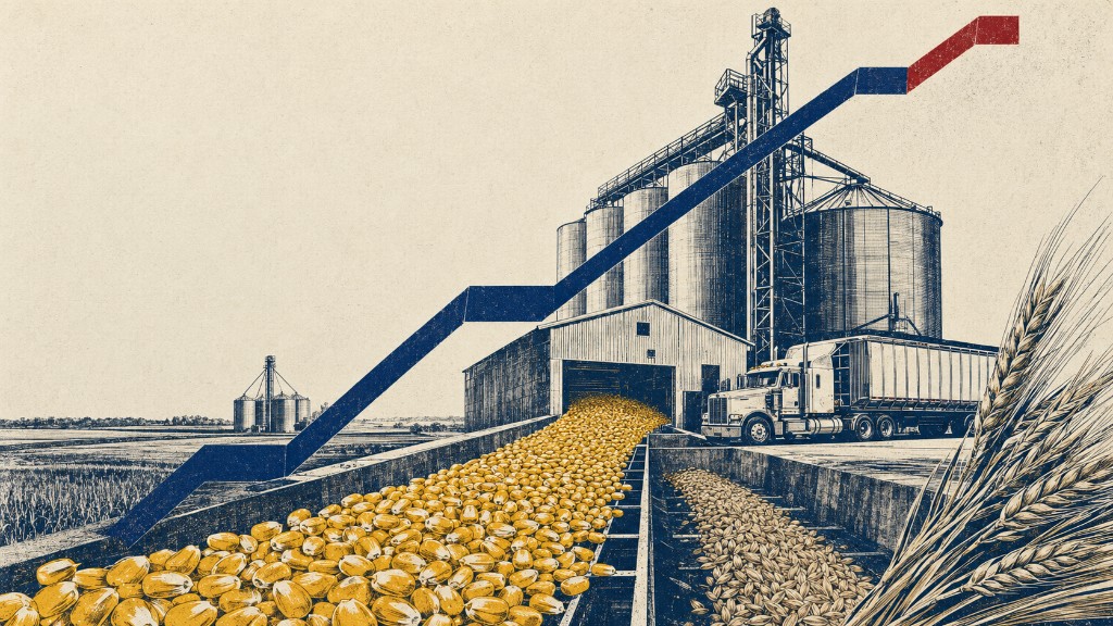 Editorial illustration of a Canadian grain elevator and silos with overflowing corn, a bulk truck, and a rising price trend line.